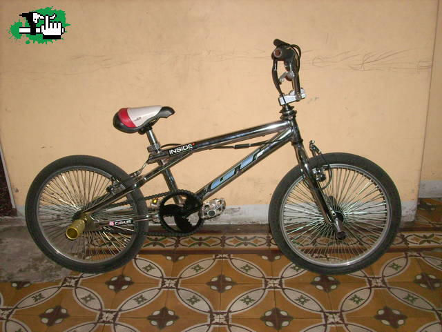gustavo2