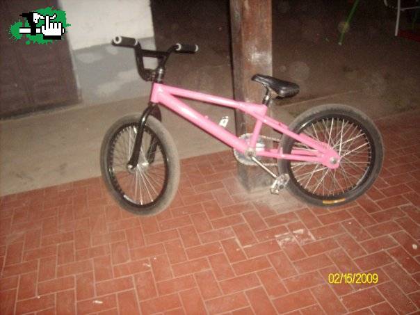 luccas
