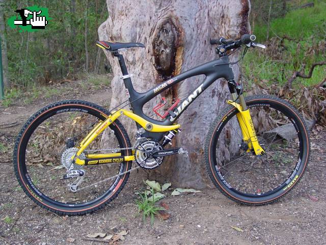 Ayuda fibra de carbono