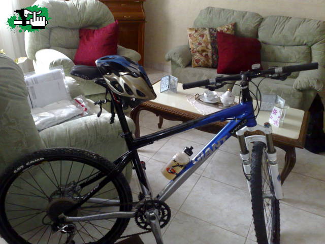 antes de salir