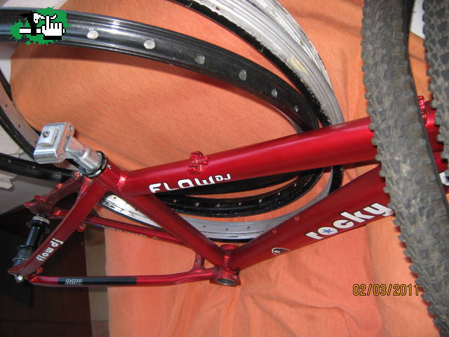 born_to_ride