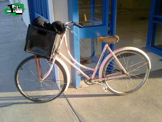 Raleigh 55" Rodando de nuevo :D