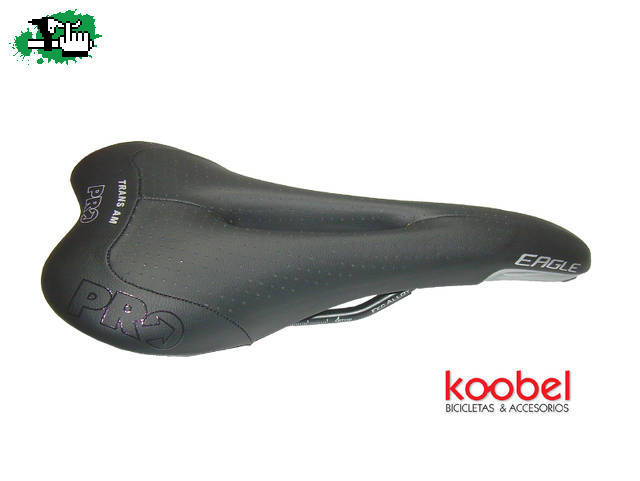 Koobel