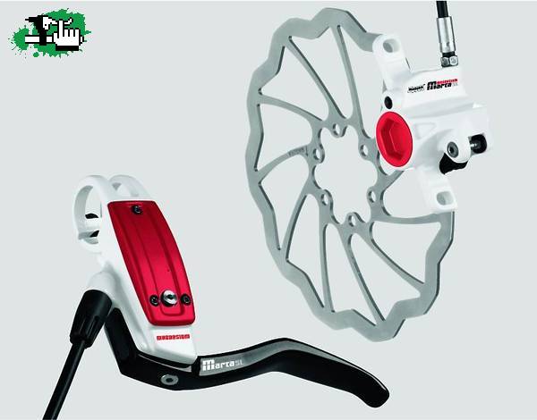 Magura Marta SL mag.