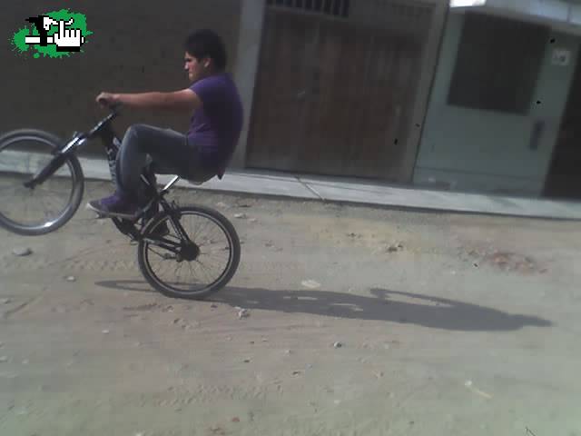 mi  primer caballito