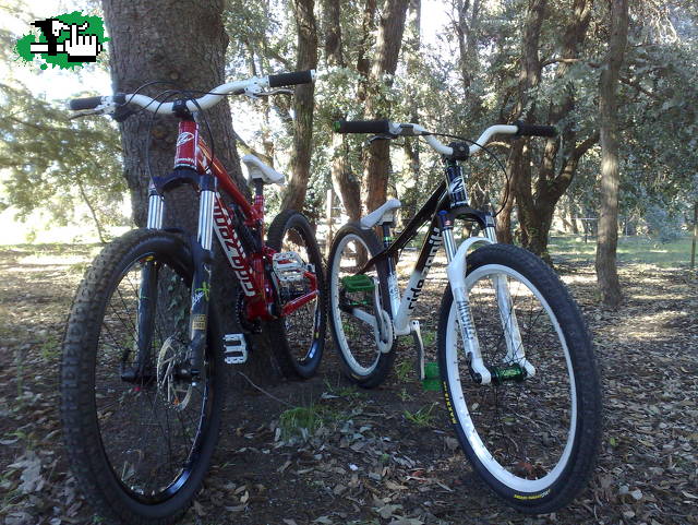 MIS BIKES