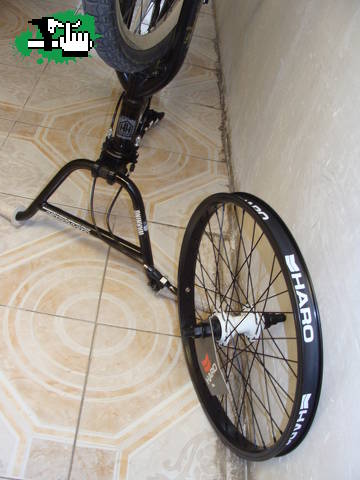 HARO RIMS