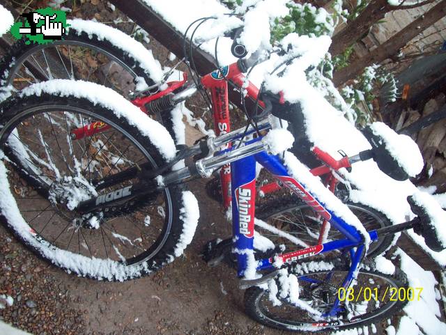 las quikles bajo nieve