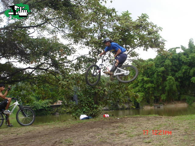 dia d buen dirt