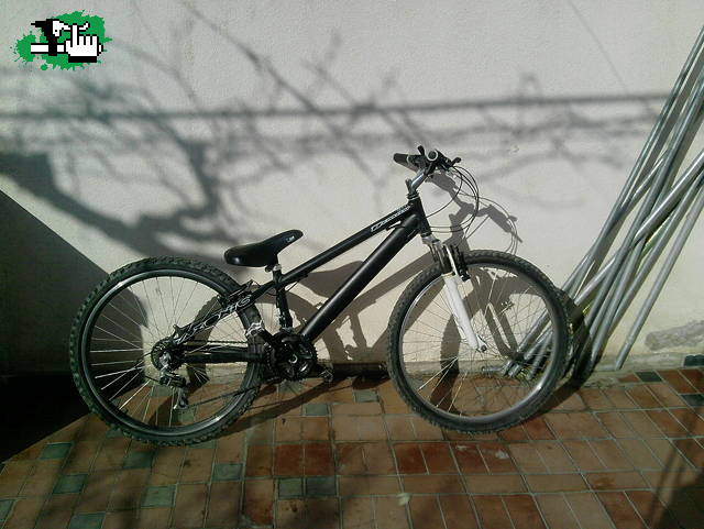 Bike Check