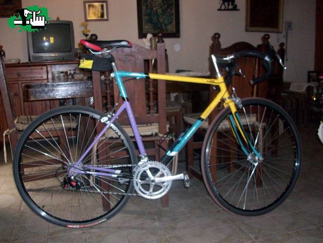 Mi humilde bicicletita