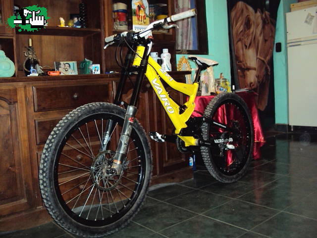 MI NUEVA CABRA ZK1 2010