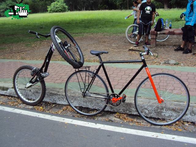 bici transporte