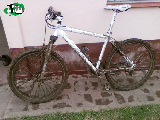 HOY EN EL CAMPO..