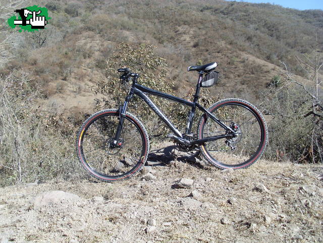 la cabra mecanica en su ambiente