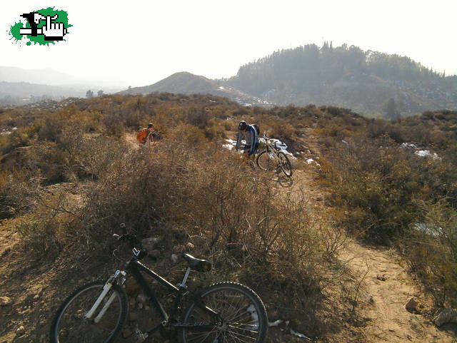 Tarde de DH,, freeride