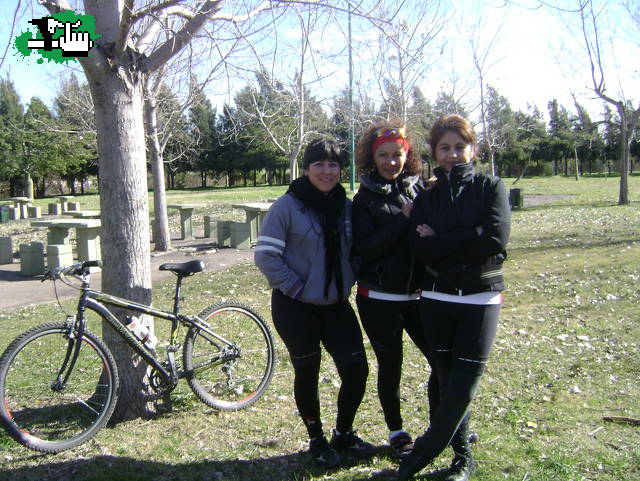 tigre