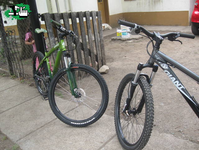 robert_bk