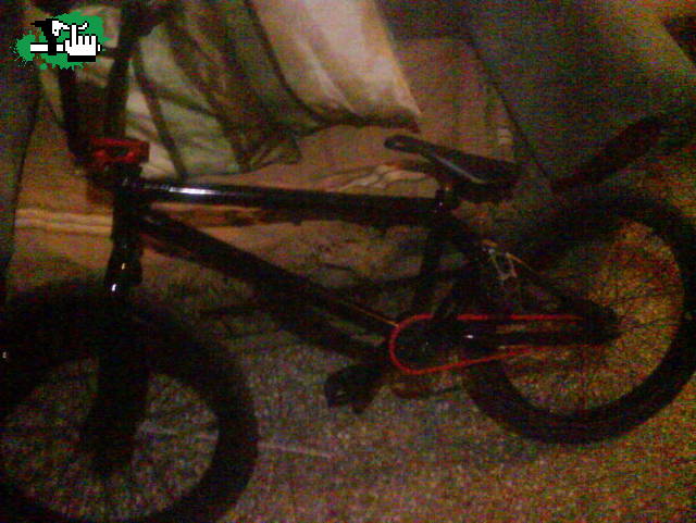 pendejo que no sabe subir el cordon su bike check