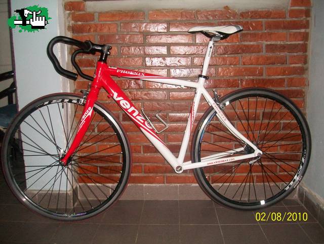 venzo phoenix