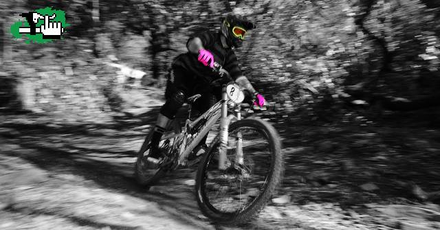 round 2 OPEN SHIMANO 2010