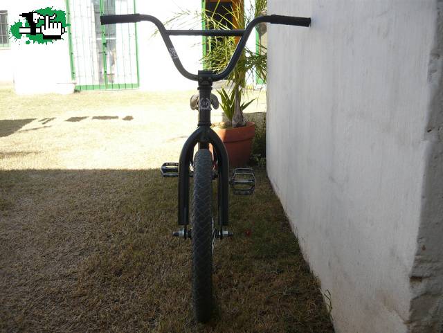 fedebriolotti15