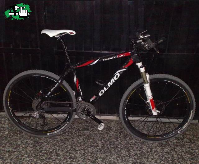 Mi olmo