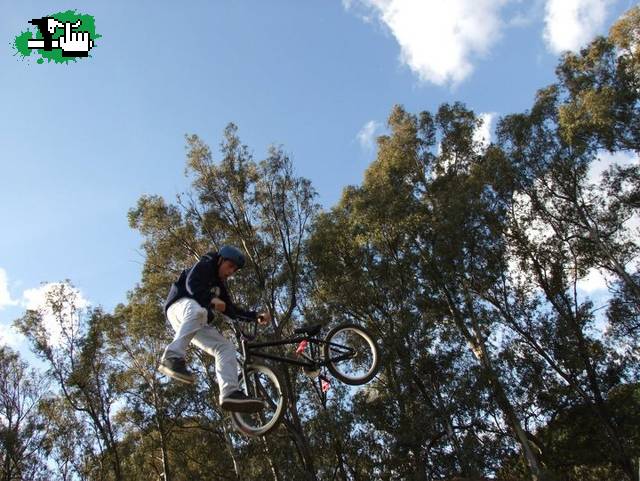whip
