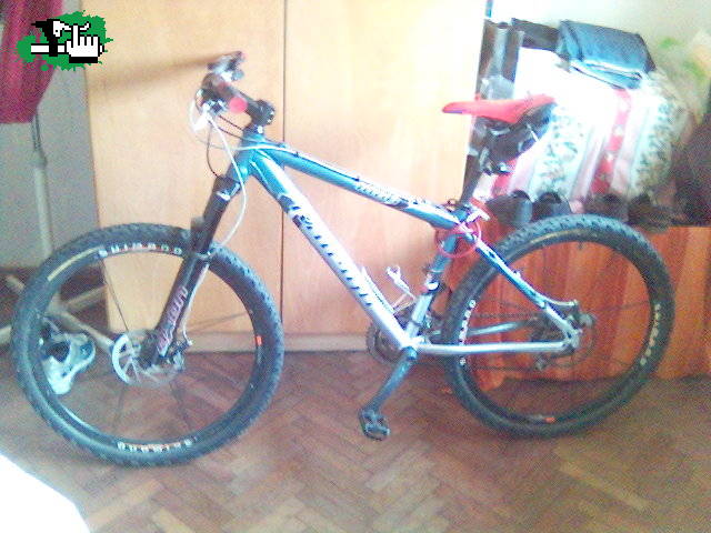 adrian63