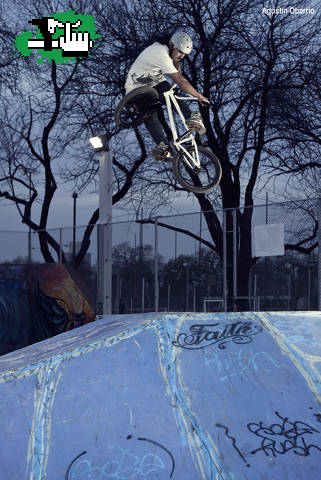 Pedro lookdown