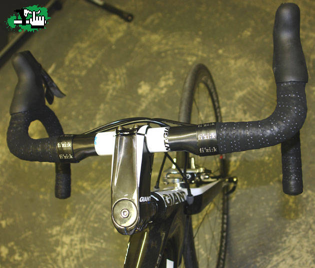 stem giant carbono