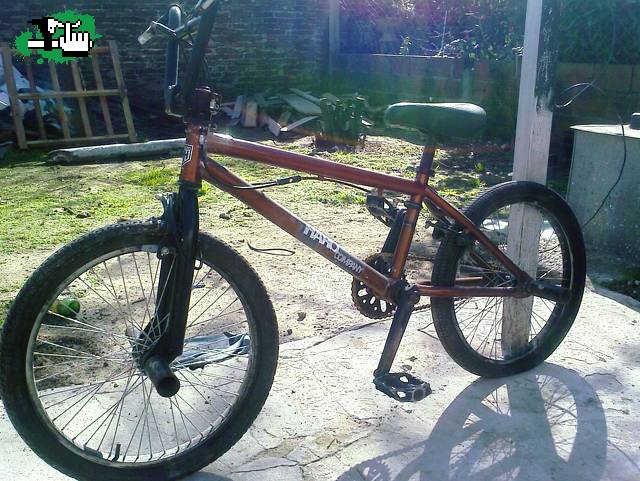chicho842003