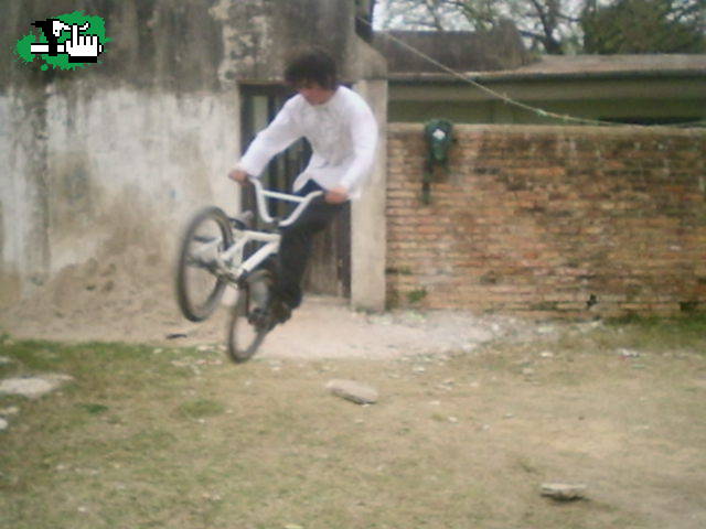 tailwhip