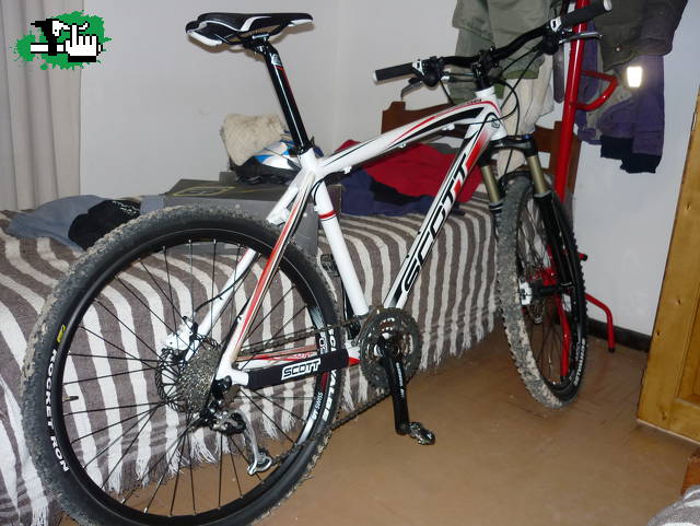 scott scale 50