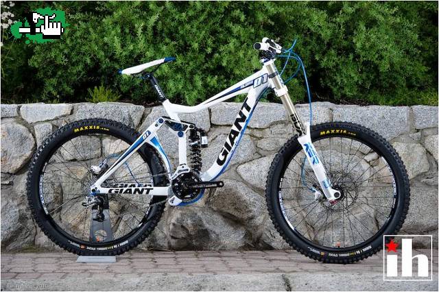 muuuy bonitaa giant glory 2011
