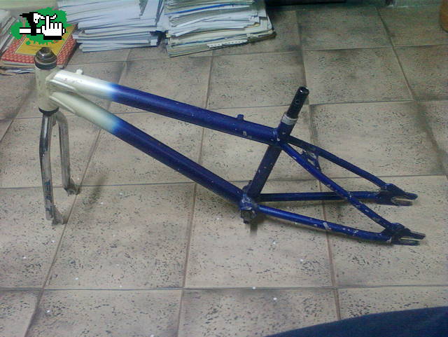 ojorodrigo