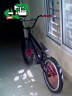 Bike Chek