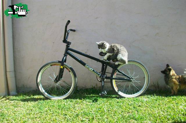 MI BICI XD