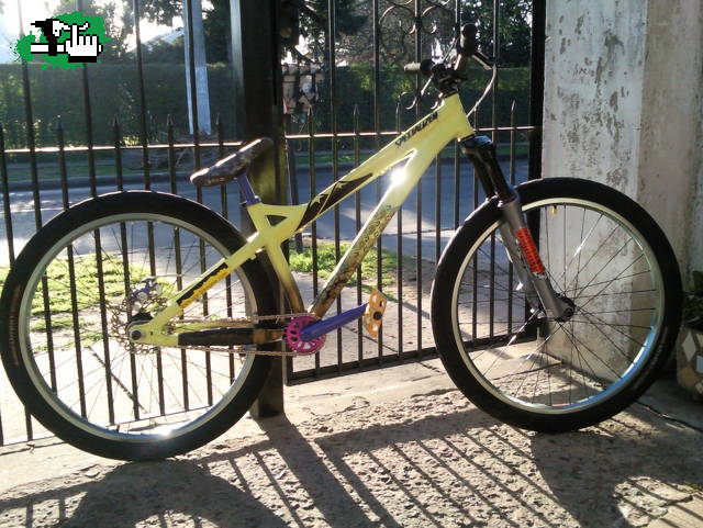 el PP ,,,, bike check