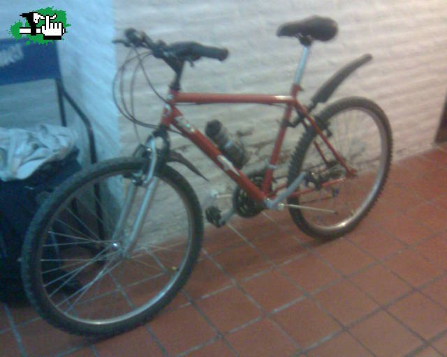 Bici vieja.