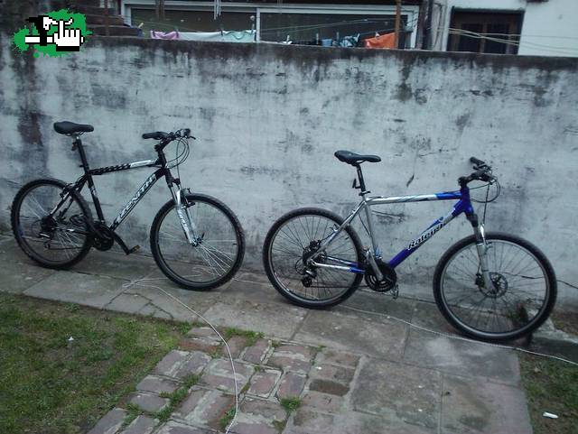 raleigh tute - zenith mia