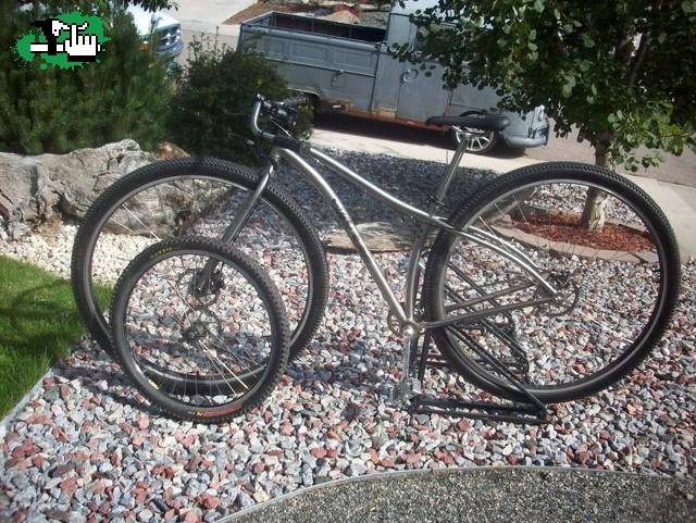 Esta es la oveja negra!
