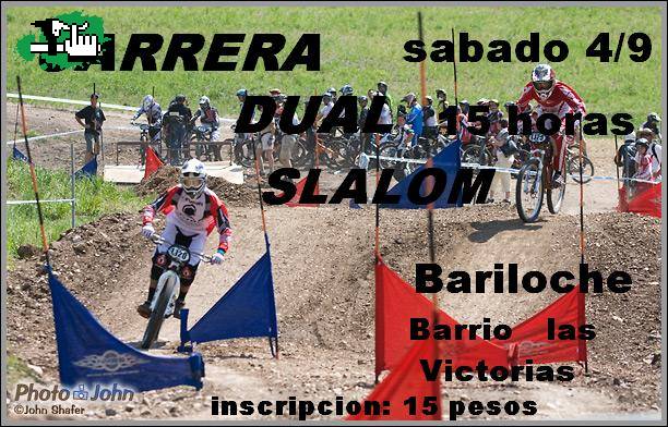 carrera dual slalom