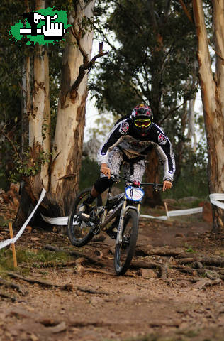 3 ROUND OPEN SHIMANO TANDIL