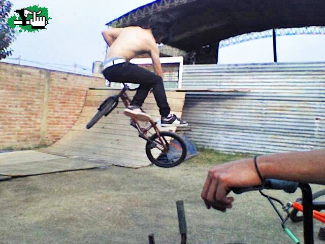 ''Tailwhip''de bunny