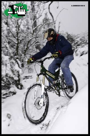 SALEN NEVADAS 