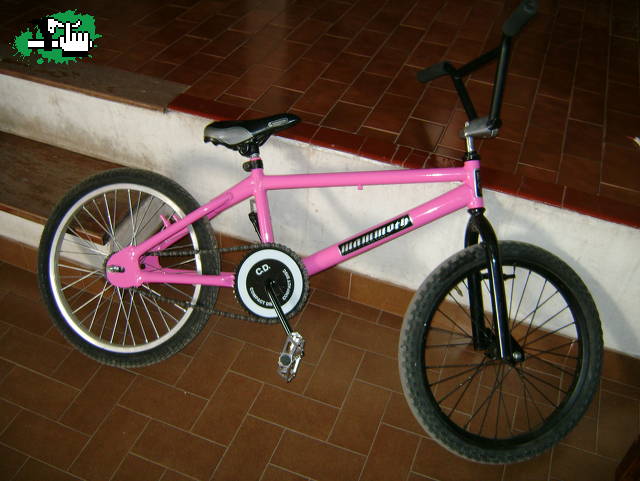 mammoth no name ya 300pe
