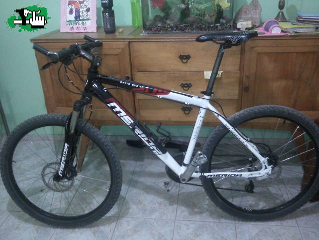 Mi primera merida