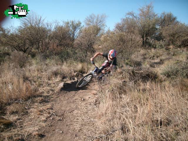 dh,freeride