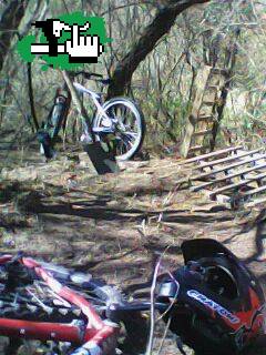 Abriendo camino juas
